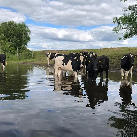 Hynes Self-catering Midlands Banagher * 比尔