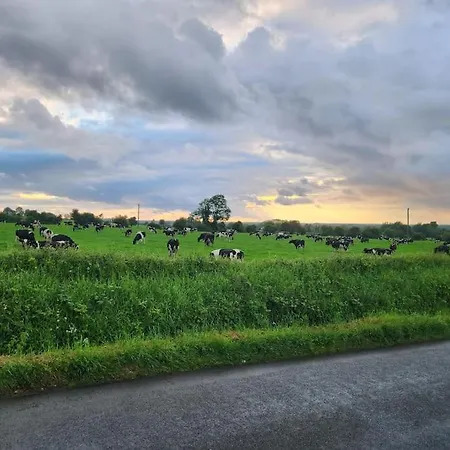 Hynes Self-catering Midlands Banagher 度假居 *