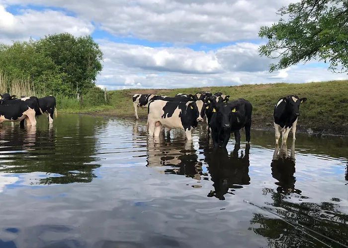 Hynes Self-catering Midlands Banagher * Birr