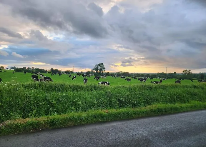 Hynes Self-catering Midlands Banagher Ferienhaus *